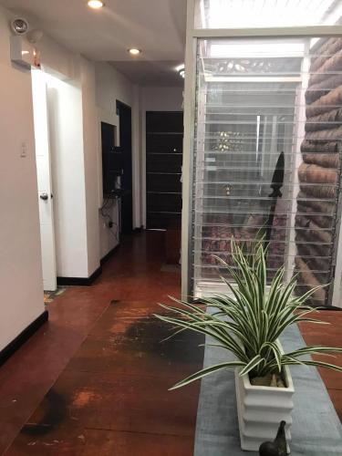 Φωτογραφία από το άλμπουμ του 203 Anabelle Residence σε Ντουμαγκέτ