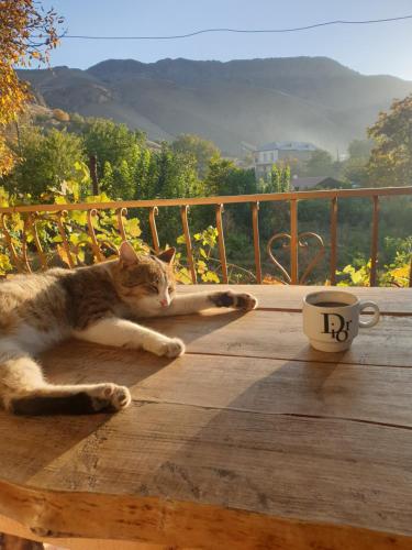  Areni House B&B -  Room  picture :   Tea/Coffee maker    Shower    Bath                           