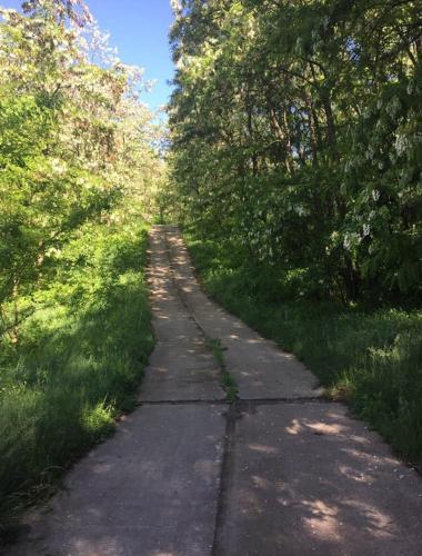 a path in the middle of a field with trees at Будинок для відпочинку в лісі in Berëzovka