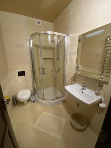 a bathroom with a shower and a sink and a toilet at Приватна садиба Європа in Solochin