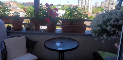 a window with potted plants on a ledge with a table at APARTMANI Emerald Dream in Novi Sad