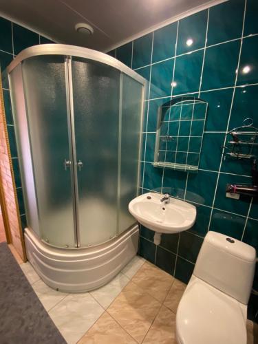 a bathroom with a shower and a toilet and a sink at Садиба "Джерело" in Yaremche