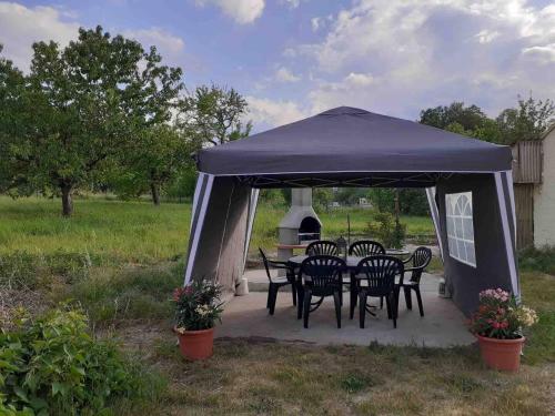 gazebo con sedie, tavolo e grill di Ferienwohnungen in der Uckermark a Schönermark