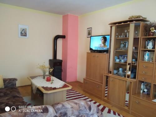 TV a/nebo společenská místnost v ubytování Holiday Home Ružmarin
