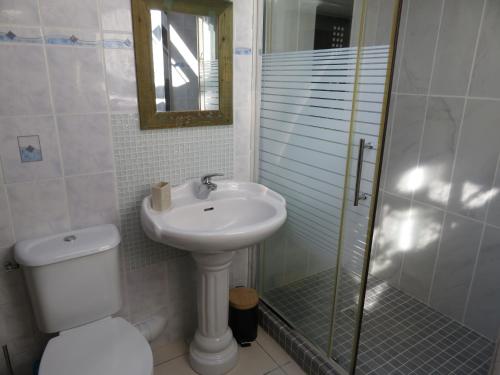 a bathroom with a toilet and a sink and a shower at Au Bonheur Suspendu in Pont-en-Royans