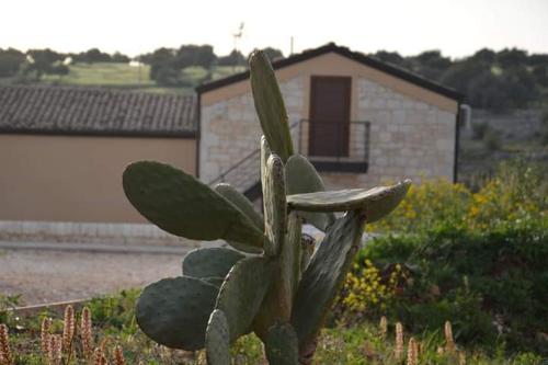 Il Carrubo Holiday House – Photos 2