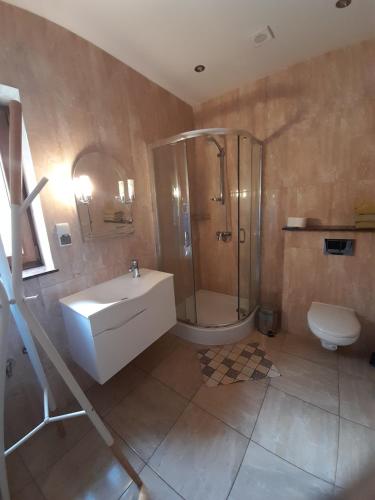 a bathroom with a shower and a sink and a toilet at Pokoje u Pana Władka in Karpacz