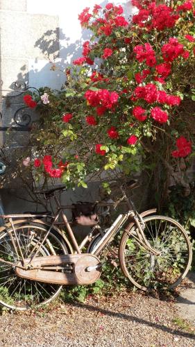 una bicicletta con un mazzo di rose rosse sopra di Le Derrien a La Roche-Derrien