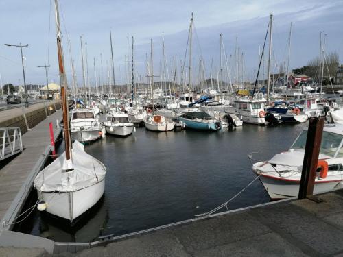 a bunch of boats are docked in a marina at Le Derrien in La Roche-Derrien