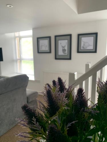 a living room with a staircase and a plant at Cliffview Apartment in Arbroath