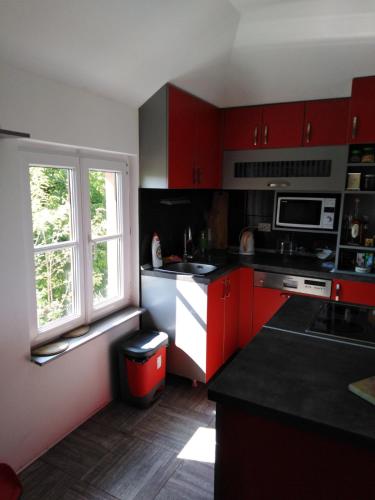a kitchen with red cabinets and a window at Vila Ana in Donja Ralja