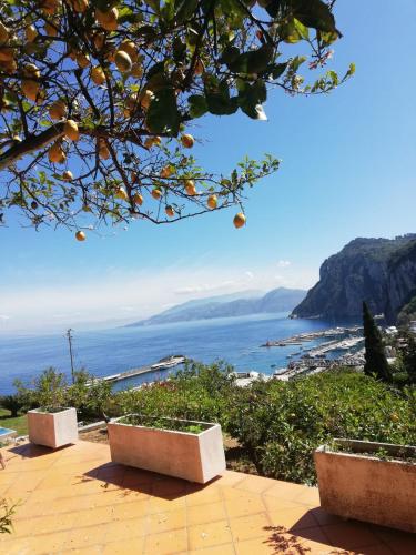 a view of the ocean from a hill with benches at Depandance Casa Paolina in Capri