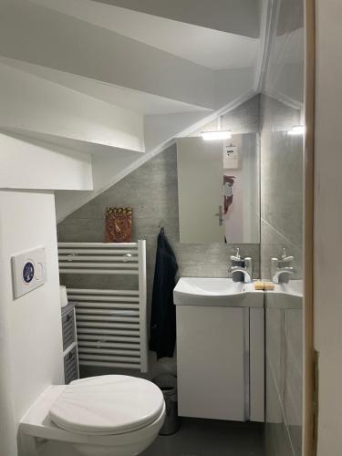 a bathroom with a toilet and a sink at La Maison Bleue à 2 pas du Lac du Neuchâtel in Hauterive