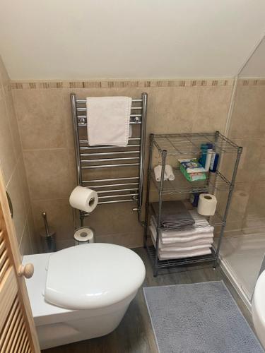 łazienka z toaletą i wieszakiem na ręczniki w obiekcie The Willows Lovely Double Apartment w mieście Rostrevor