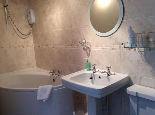 een badkamer met een wastafel, een bad en een spiegel bij Whashton Springs Farmhouse B&B in Richmond