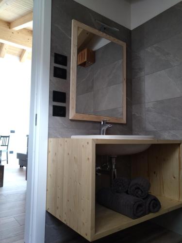 a bathroom with a sink and a mirror at Alpenrooms in Transacqua
