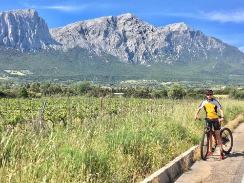 a man riding a bike on a road with mountains in the background at CAV Mameli in Dorgali
