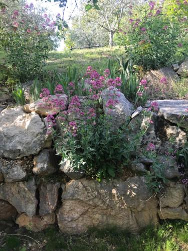Gallery image of La Casa di Franco in Rivoli Veronese