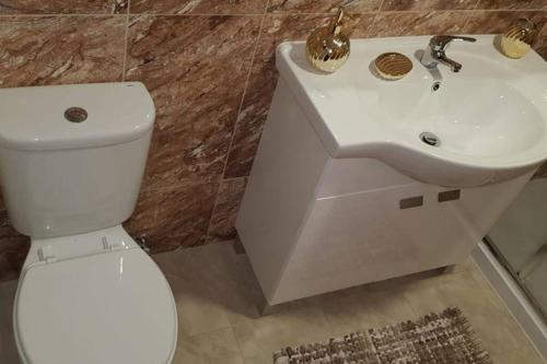 La salle de bains est pourvue de toilettes blanches et d'un lavabo. dans l'établissement Casa Madureira - Paraíso centenário do Douro, à Sabrosa