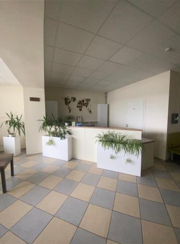 an empty office with plants on the counters at Ecohotel in Kretinga