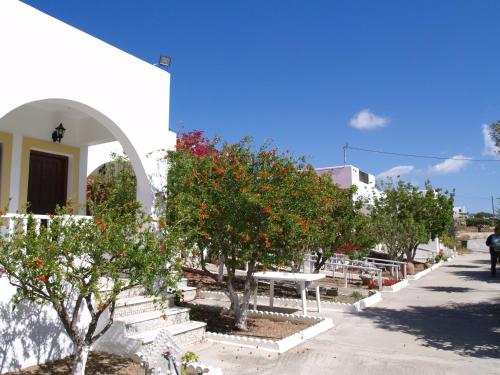 a row of orange trees in front of a building at Scarpantos in Amoopi