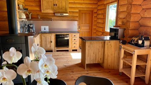 a kitchen with wooden cabinets and a stove top oven at Datcha du Cap Fréhel in Plévenon