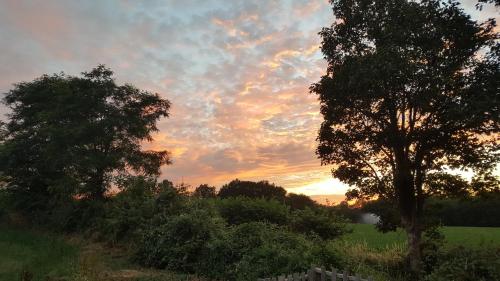 a tree in a field with a sunset in the sky at La Vieille Gorce Gîtes in the Vienne in Asnois