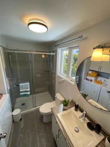 a bathroom with a shower and a sink and a mirror at Maison sur le lac in Desbiens