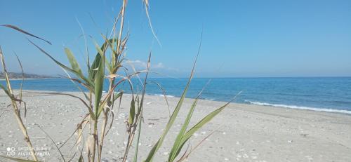 Φυσικό τοπίο κοντά σε αυτό το σαλέ
