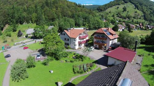 an aerial view of a village in the mountains at Landgasthaus Kurz Hotel & Restaurant am Feldberg - Schwarzwald in Todtnau