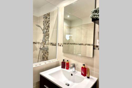 une salle de bain avec un lavabo et un miroir dans l'établissement Appartement avec jardin -alentours Ajaccio centre, à Alata