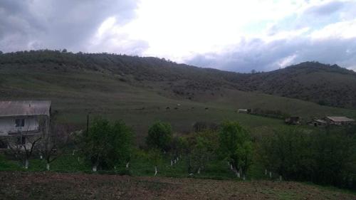 a hillside with a house in the middle of a field at AMOJ B&B and Guest house in Alaverdi
