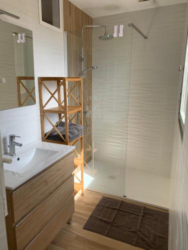 une salle de bain avec un lavabo et une douche dans l'établissement Appartement la corde a linge Gruissan village avec terrasses, à Gruissan