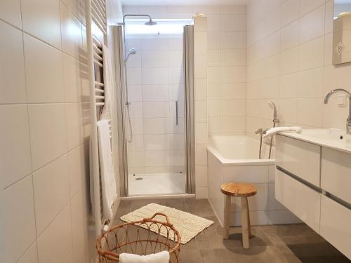 a bathroom with a shower and a sink and a toilet at De Egel in Oostkapelle