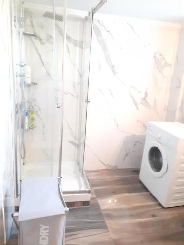 łazienka z prysznicem i pralką w obiekcie Asteris appartment w mieście Termi