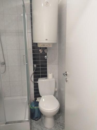 a bathroom with a toilet and a sink and a shower at Apartmani Loznica in Loznica