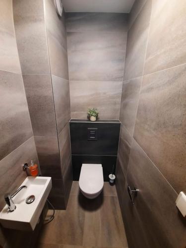 a bathroom with a toilet and a sink at Apartmán Blatná in Blatná