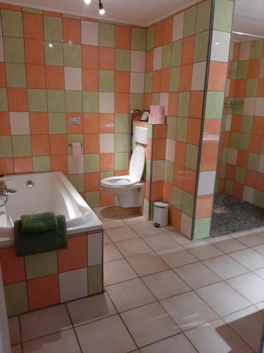une salle de bain avec toilettes et baignoire dans l'établissement Rimbes Casteljaloux - gite 6 pers Rustique, à Casteljaloux