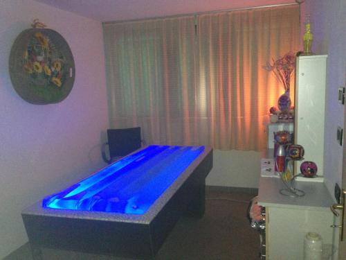 a blue swimming pool in a room with a refrigerator at Hotel Olisamir in Cavedago