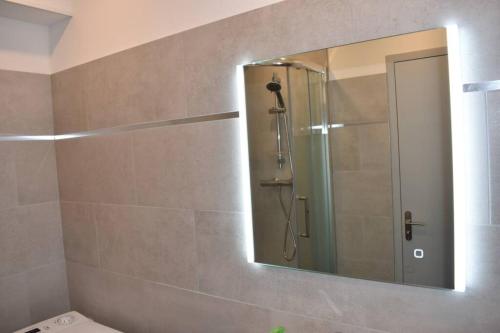 La salle de bains est pourvue d'une douche et d'un miroir. dans l'établissement Confort et calme au sud de Bastia, à Bastia