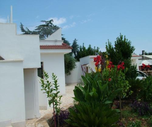 Afbeelding uit fotogalerij van Evergreen in Polignano a Mare