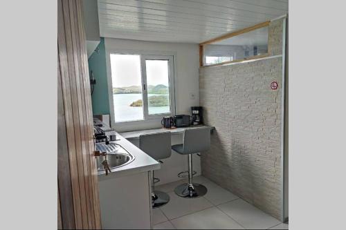 勒马兰Studio lumineux vue exceptionnelle sur la mer的带水槽和窗户的小厨房
