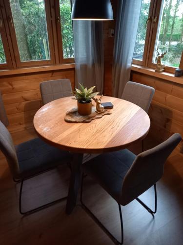 a dining room table with chairs and a potted plant on it at Onder de eik in Ermelo