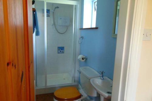 a bathroom with a shower and a toilet and a sink at Sporting Lodge Shanagolden in Limerick