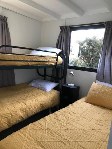 two bunk beds in a room with a window at Tophouse Mountainview Cottages in Saint Arnaud