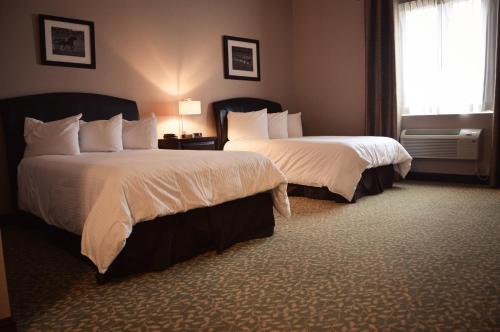 Belvedere Inn Schenectady - Albanyにあるベッド