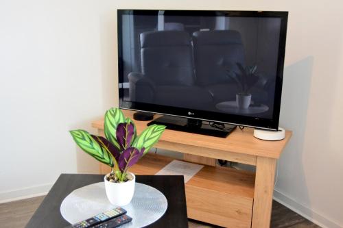 a television sitting on a wooden stand with a plant at STUDIO'MARCEL in Blagnac