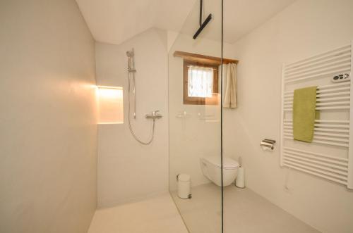 a white bathroom with a shower and a toilet at Chasa Curtins in Valchava