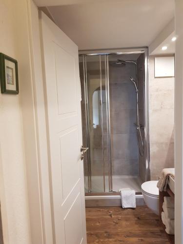 a bathroom with a shower with a toilet and a sink at Haus Montana in Lermoos