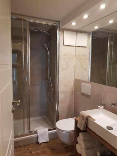 a bathroom with a shower and a toilet and a sink at Haus Montana in Lermoos